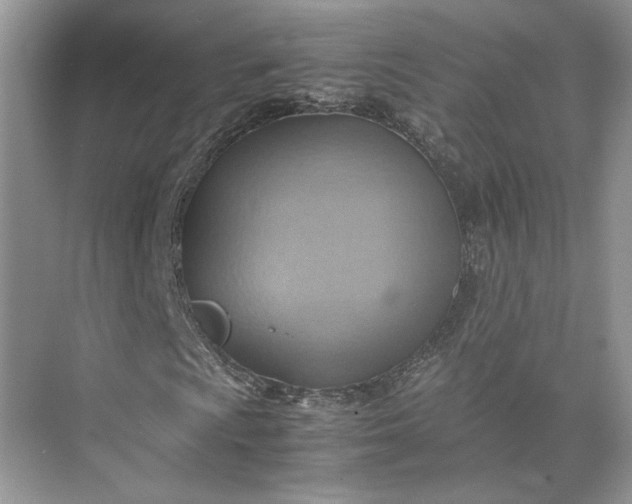 X0000075891009200609291700