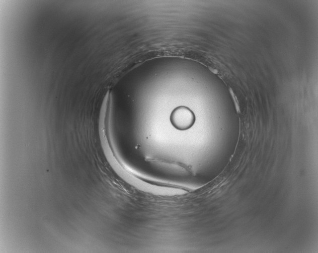 X0000075891010200609291700