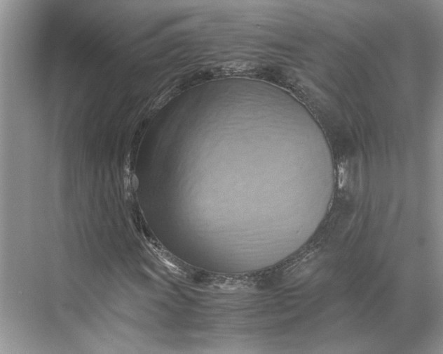 X0000075891011200609291700