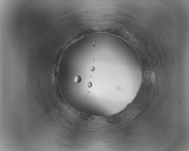 X0000075891012200609291700