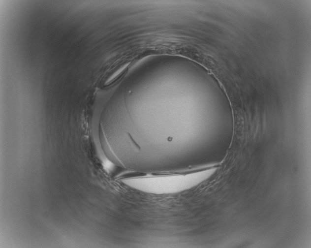 X0000075891013200609291700