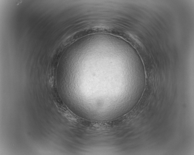 X0000075891015200609291700