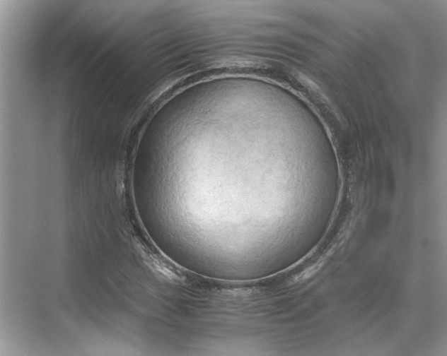 X0000075891017200609291700