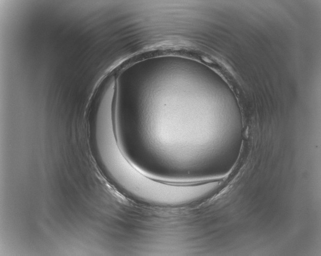 X0000075891018200609291700