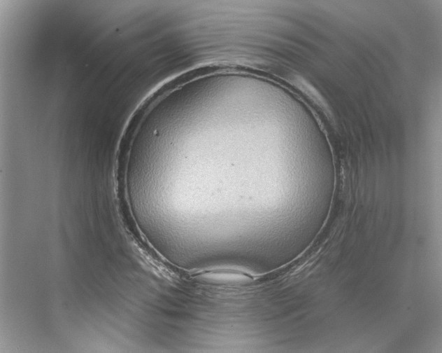 X0000075891020200609291700