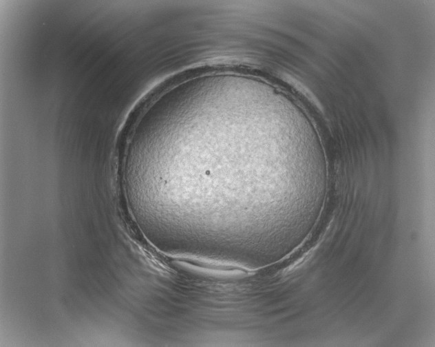 X0000075891021200609291700