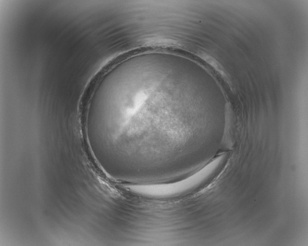 X0000075891022200609291700