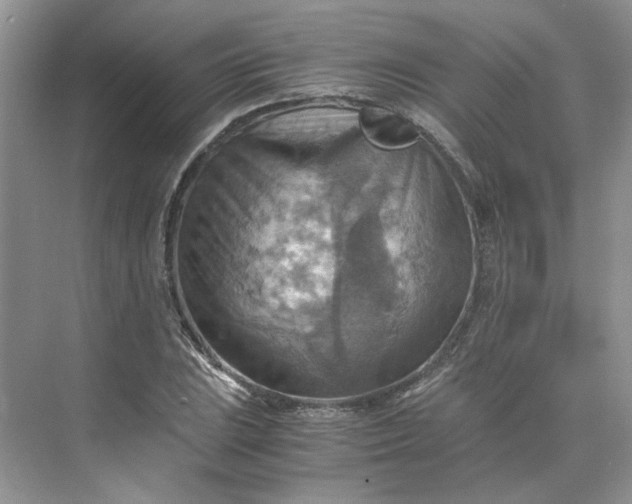 X0000075891023200609291700