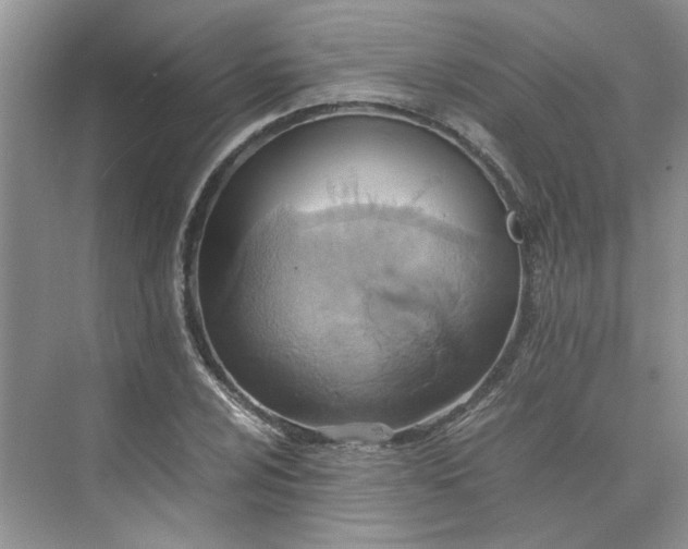 X0000075891024200609291700