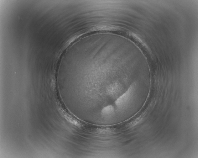 X0000075891025200609291700