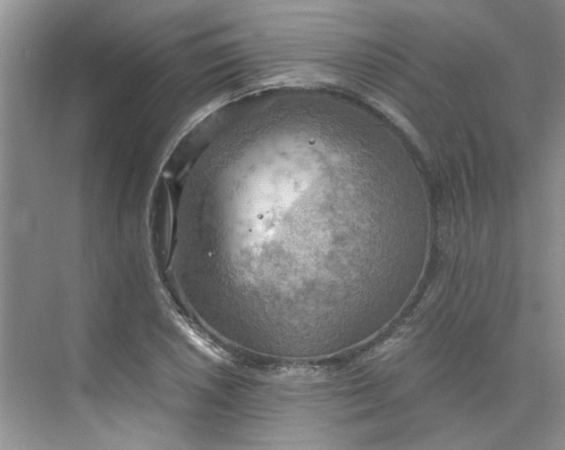 X0000075891026200609291700