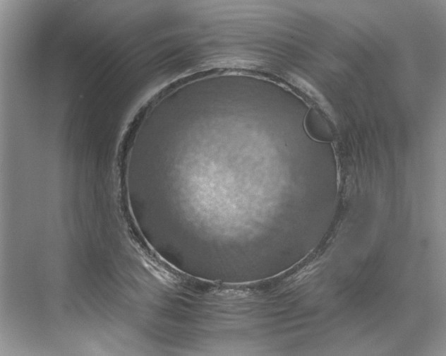 X0000075891027200609291700