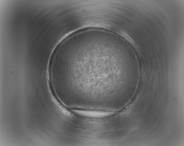 X0000075891028200609291700