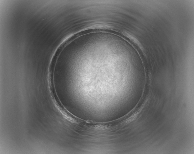 X0000075891029200609291700