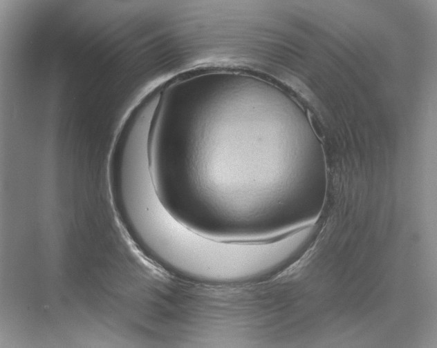 X0000075891030200609291700