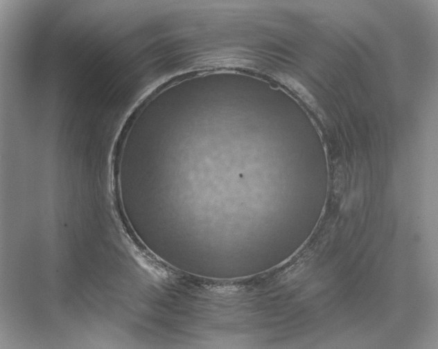 X0000075891031200609291700