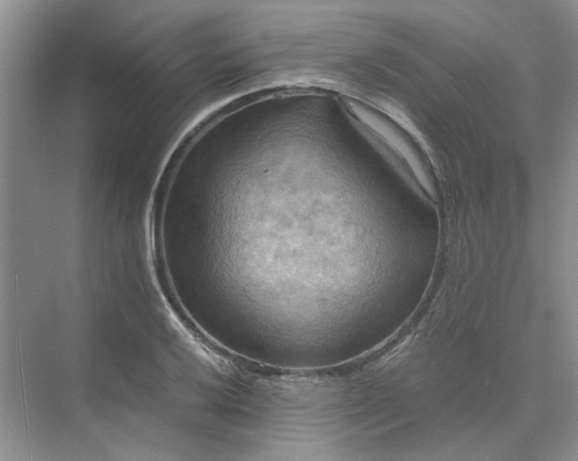 X0000075891032200609291700