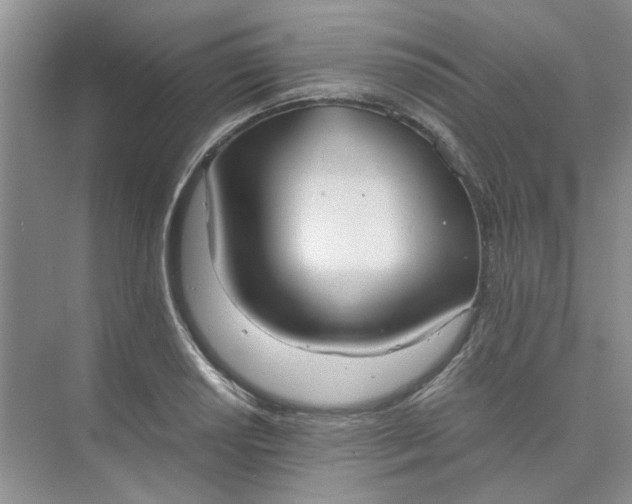 X0000075891034200609291700