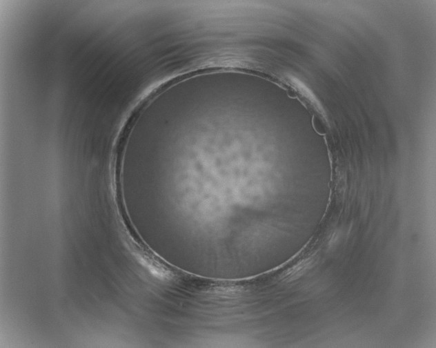 X0000075891035200609291700