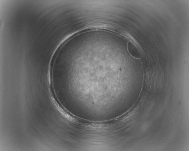 X0000075891036200609291700