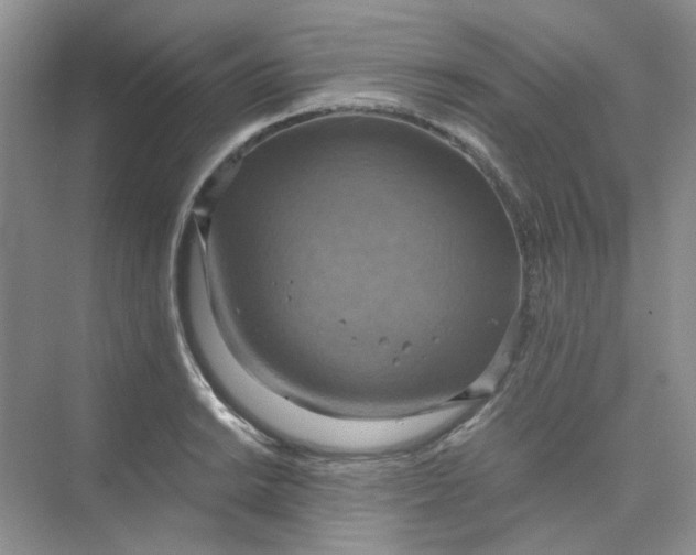 X0000075891038200609291700