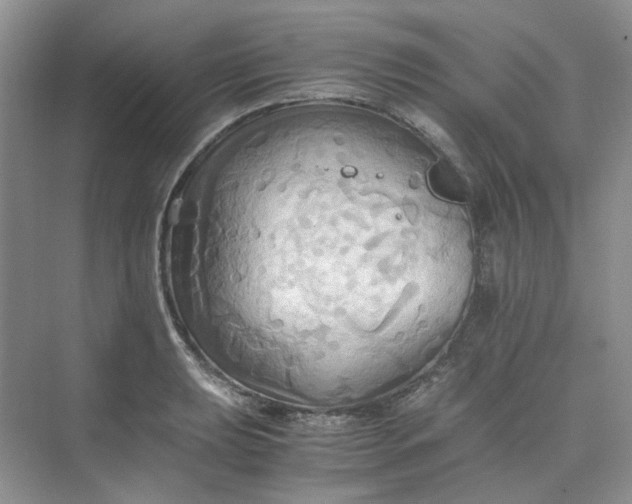 X0000075891039200609291700