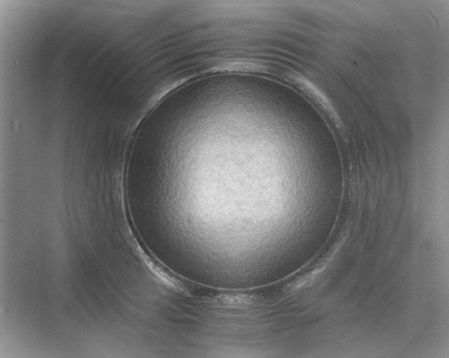 X0000075891041200609291700