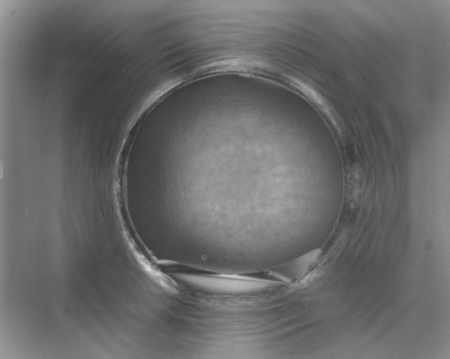 X0000075891042200609291700