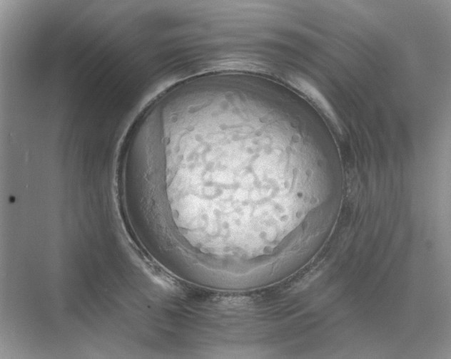 X0000075891043200609291700