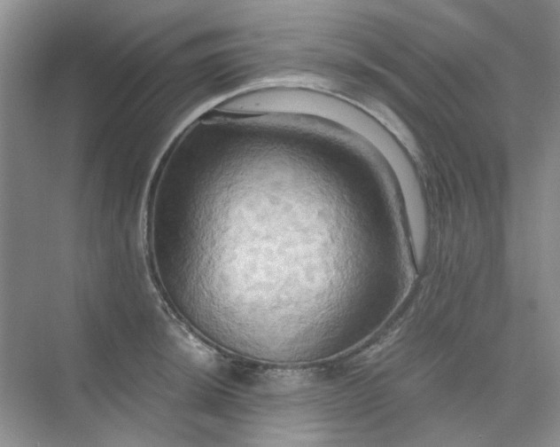 X0000075891044200609291701