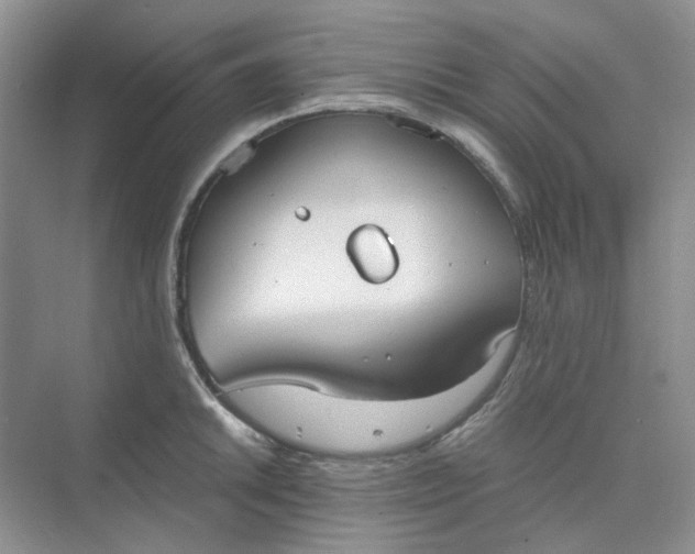 X0000075891046200609291701