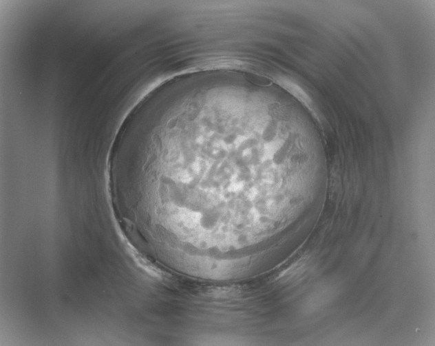 X0000075891047200609291701