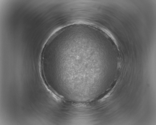 X0000075891048200609291701