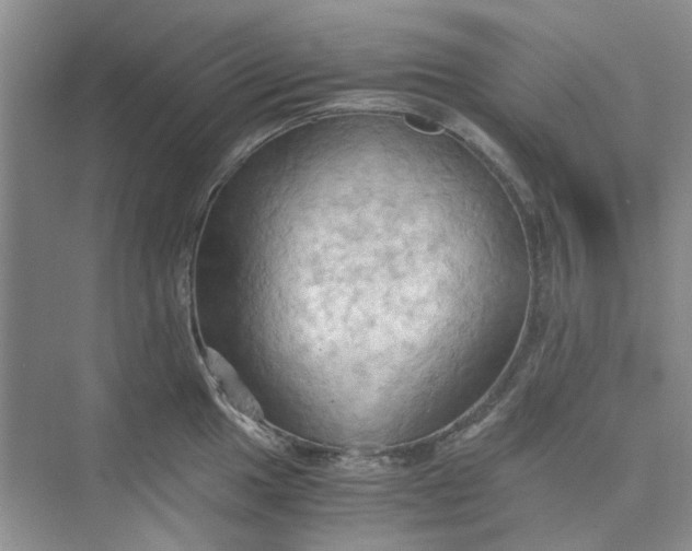 X0000075891049200609291701