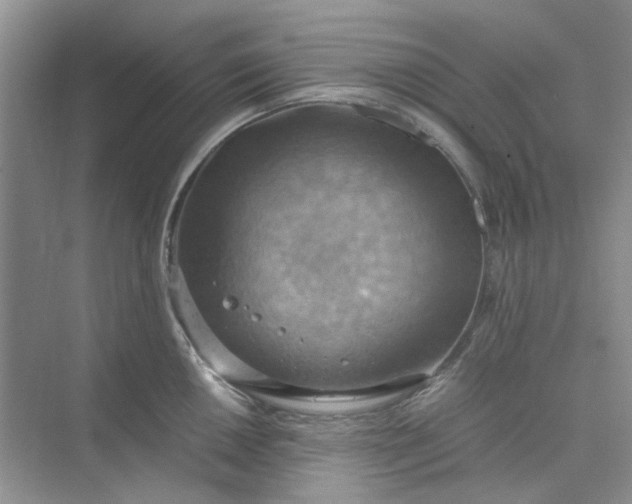 X0000075891050200609291701