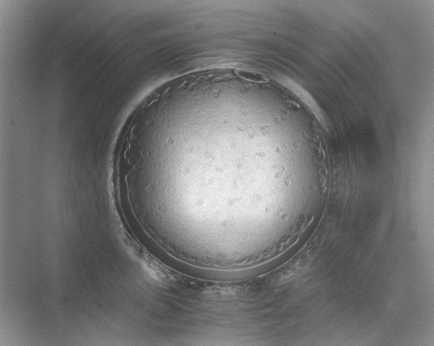 X0000075891051200609291701