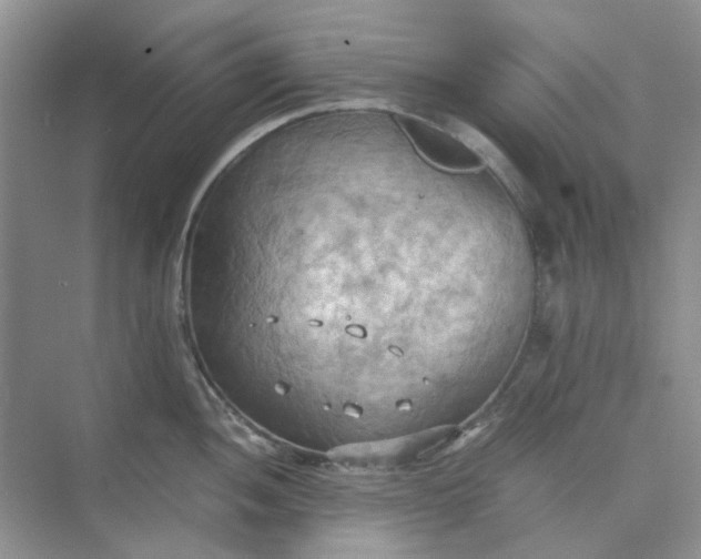 X0000075891052200609291701