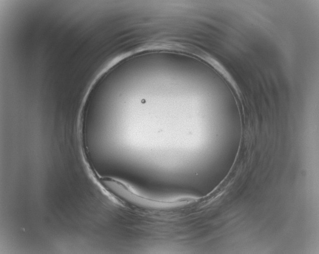 X0000075891053200609291701