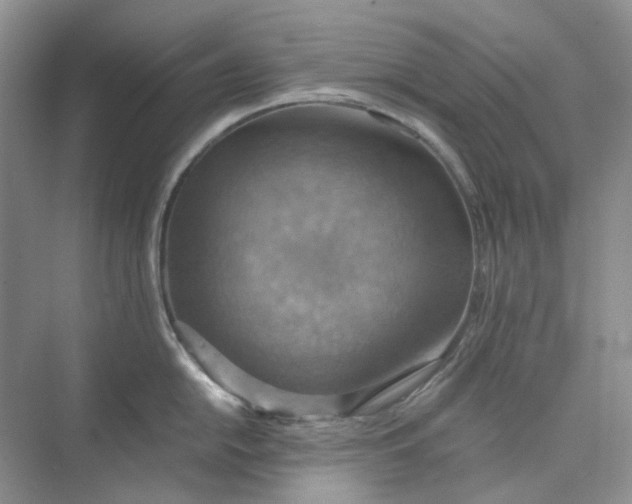 X0000075891054200609291701