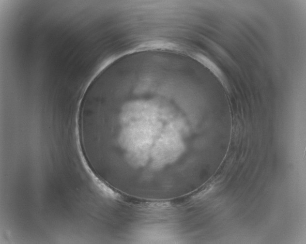 X0000075891055200609291701