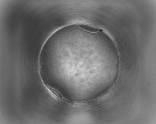 X0000075891056200609291701