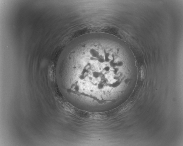 X0000075891059200609291700