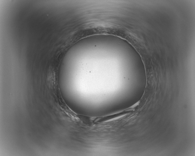 X0000075891061200609291700