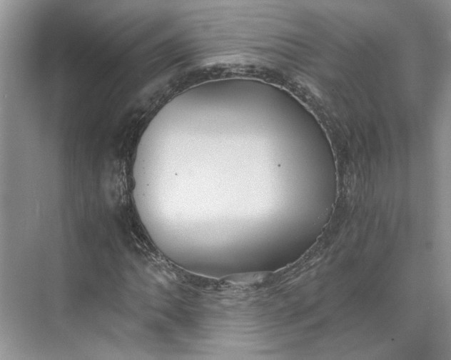 X0000075891062200609291700