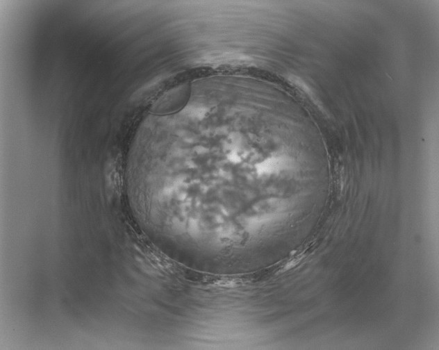 X0000075891063200609291700