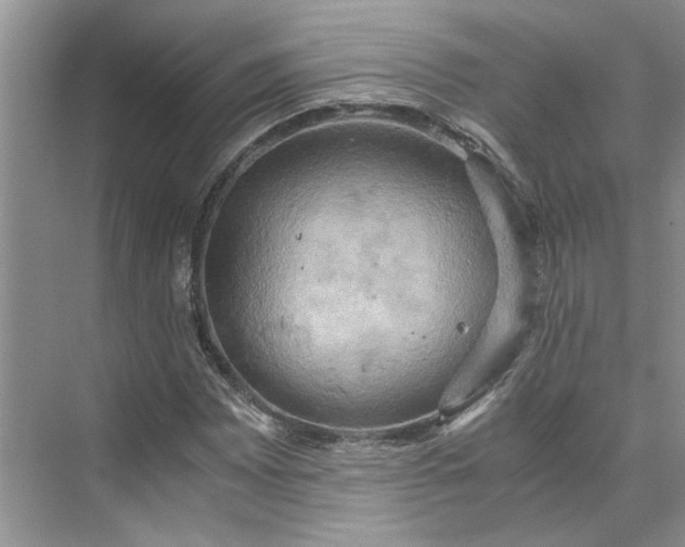 X0000075891065200609291700