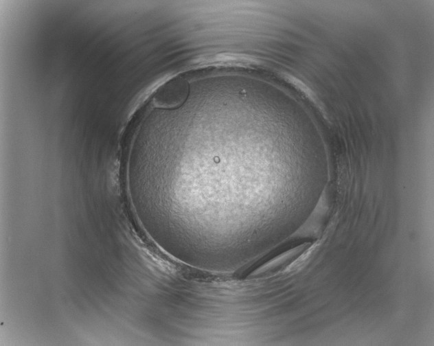 X0000075891066200609291700