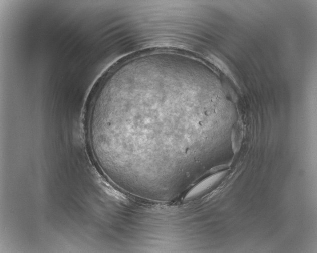 X0000075891068200609291700