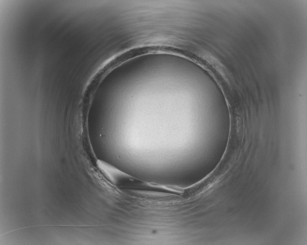 X0000075891069200609291700