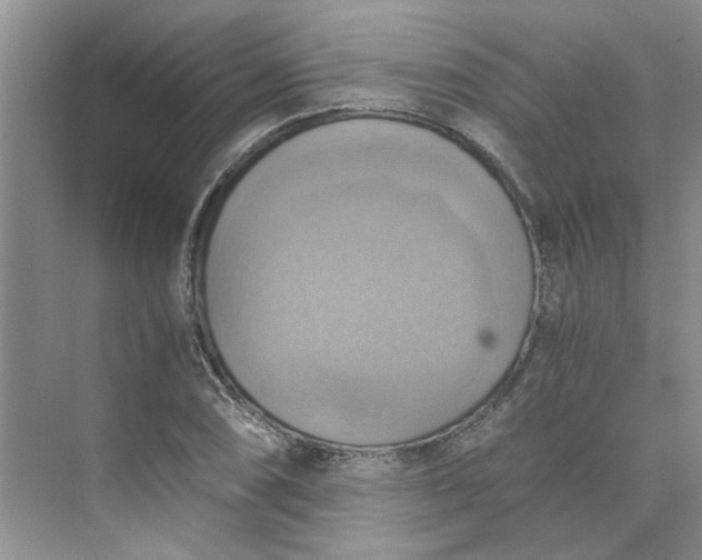 X0000075891074200609291700